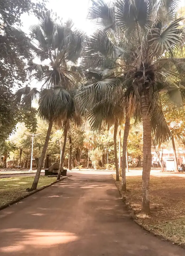 The beautiful view of the island of Mauritius