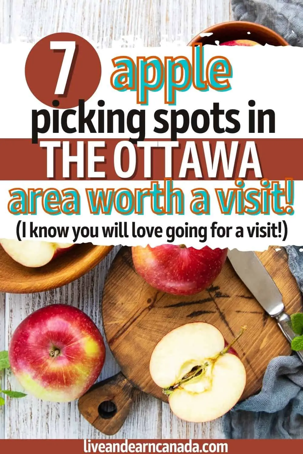 Best apple picking in Ottawa. If you are considering going Apple picking this year, we have a list of some of the best apple picking orchards in Ottawa worth visiting this year.